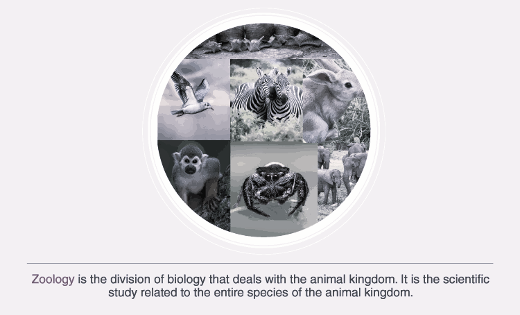 Zoology