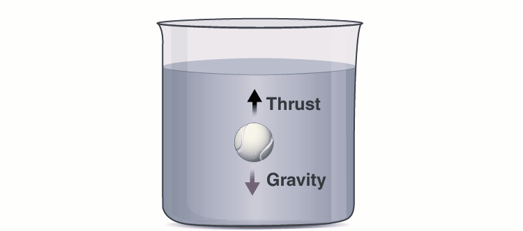 Archimedes Principle