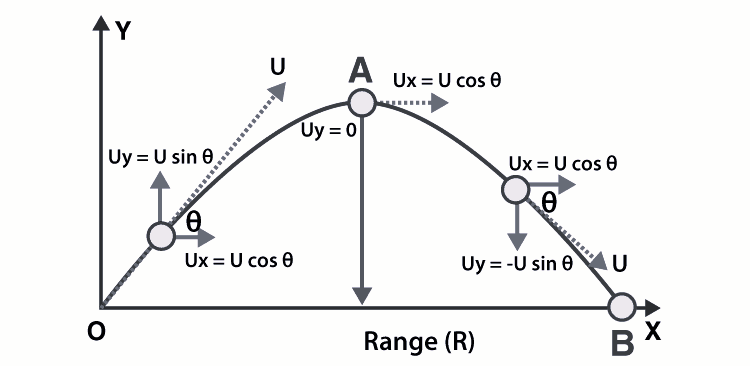 Projectile Motion